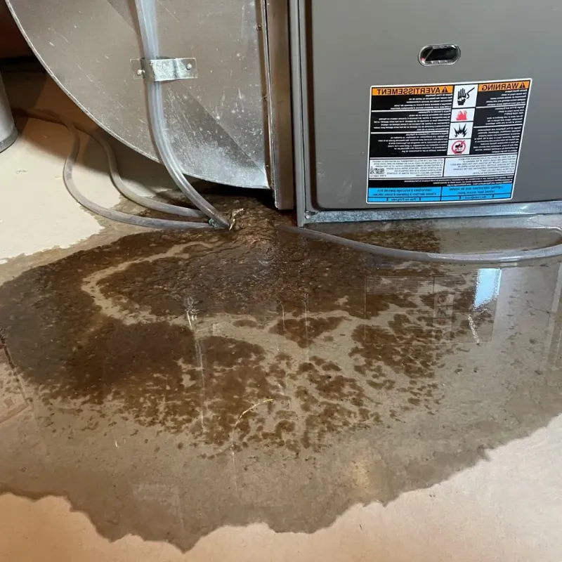 Pipe Burst and Leak Restoration in Mexico, NY